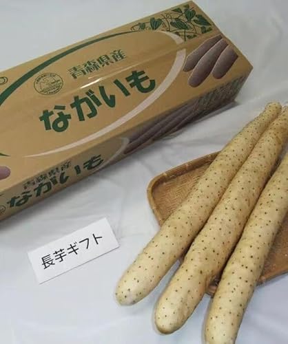  XY Ƃ p 3 􂢒  X \ac