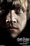 Trends International Harry Potter and the Deathly Hallows: Part 1 - Ron One Sheet Wall Poster, 22.375' x 34', Premium Unframed Version