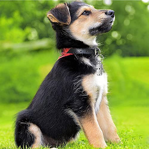 3 Stück Hunde Halsbandanhänger Metall, Hunde Metall Namensschild, Hunde Halsbandanhänger, Anhänger Hundehalsband, Geeignet für Katzen und Hunde und Kleintiere Adresskapsel , Anti Lost Namensschild