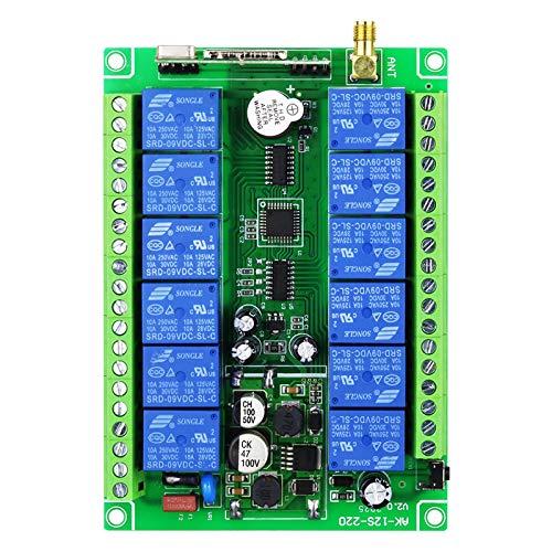 Télécommande sans fil DC12 V 24 V 36-48 V 12 CH RF 50~200 m pour système de grue de tête récepteur 433 MHz avec 2 télécommandes, 1 antenne