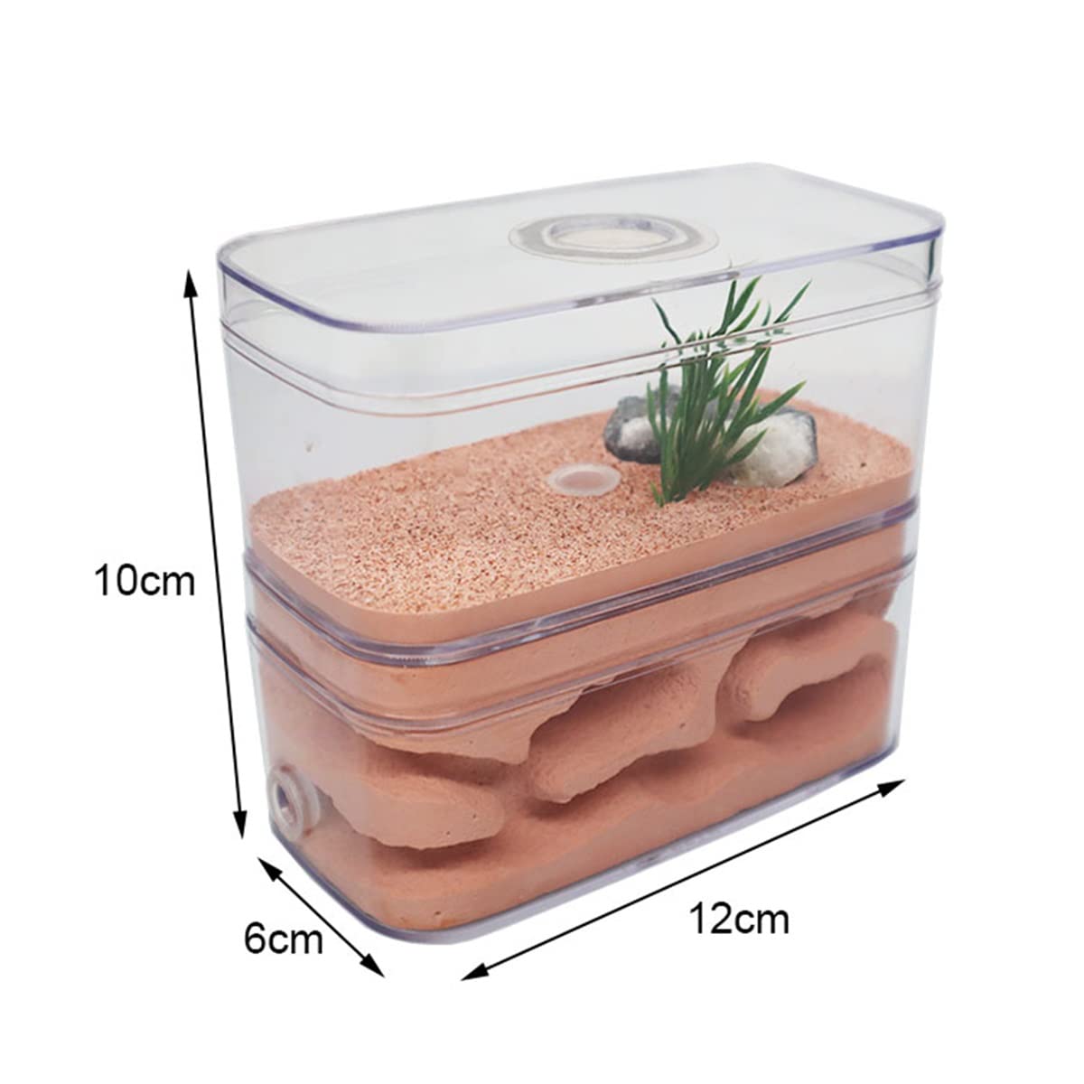 Ant Nid de fourmis en plâtre Formicarium Habitat pour animaux domestiques Château d'insectes avec zone d'alimentation