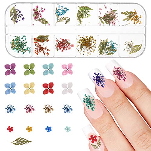 Firtink 144 Stücke Nagel Getrocknete Blume, 4 Box 3D Nägel Kunst Trocken Blumen mit Pinzette Blumen Nagelkunst Aufkleber… – Bild 7