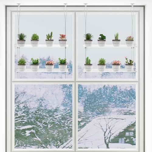 Support mural d'intérieur pour plantes transparent à suspendre double plateau