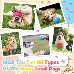 24 Pieces Squeaky Balls for Dogs Rubber Squeaky Dog Toys Bulk 2.36 Inch Dog Toys Ball Interactive Chewing Ball for Medium and Small Dogs Puppy, 3 Colors (Dog Paw Style)