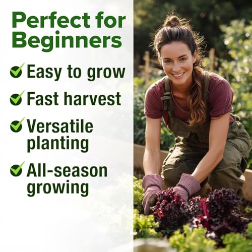 Image of HOME GROWN Lettuce Seeds 8 Variety Mix 9000+ Bulk Pack Heirloom Non-GMO, High Germination, Romaine, Bibb, Buttercrunch, Leafy Greens,Indoor Outdoor Hydroponic Garden, Cut & Come Again (Lactuca sativa)