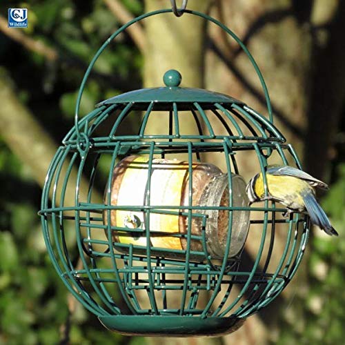 Peanut Bird Feeders SquirrelProof at Benito Owens blog