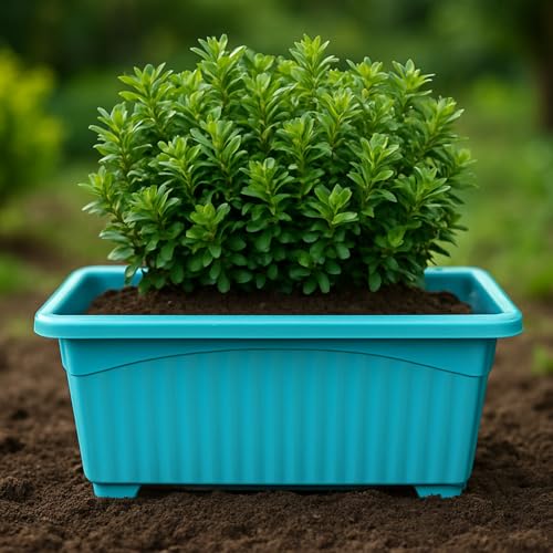 Image of Bianco Rectangular Plastic Pots for Plants, Jupiter Flower Pots for Home, Window Display, Garden (35 x 18.5 x 15 cm) (Blue) (Pack of 3)