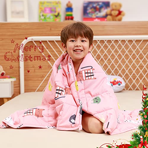 NSGZ Copripiumino In Raso Per Coperta Pesata – 152x203 Cm, Lusso Sfoderabile Con 8 Legacci E Chiusura Lampo, Morbido E Traspirante, Colore Rosa