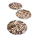 Collections Etc Limestone Rock Stepping Stones - Set of 3
