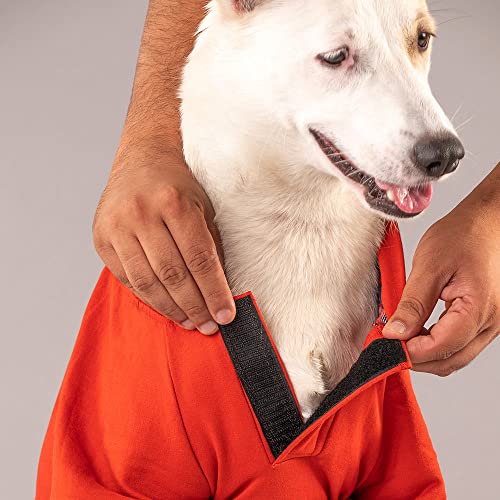 Image of Heads Up For Tails cotton HUFT Sweatshirt for Dogs - Rust, l, 1 count