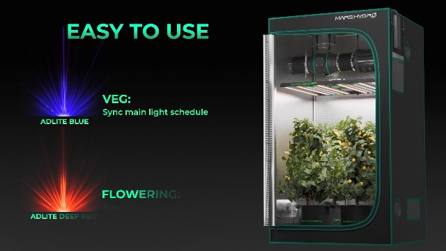 HMページ Lexmark MX532adwe Monochrome Multifunction Printer - 38S0820 - All