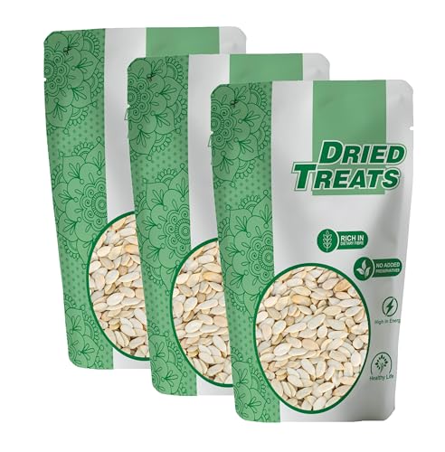 Image of Dried Treats Muskmelon Seeds (Kharbooj Beej) 600 Grams (200 Grams X 3) - Raw Muskmelon Seeds Packed with Protein, Fiber & Energy to Support Focus & Stamina - Delicious Dried Seeds for Mom's Homemade Halwa, Laddu & Home Made Sweets | High Quality Whole Roasted Kharbooj Seed | Raw Muskmelon Beej | Whole & Clean Muskmelon Seeds