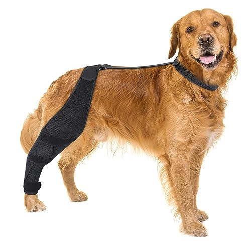 Image of Dog ACL Knee Brace for Pet Recovery, Adjustable Straps, Universal Fit, Supportive and Comfortable, for Small, Medium, Large Dogs (X-Large, Black Right)