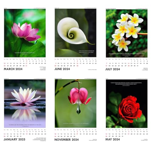 Image of Tallenge - Floral - 2026 Desk Calendar - 6 x 9 Inches for Home & Office (Paper, Desk Calendar)