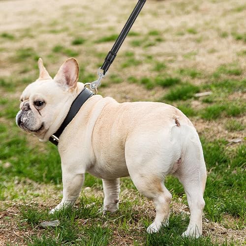 2 Stück Sicherheits-Glieder von Halsband zu Geschirr, verstellbare doppelseitige Leine für Hundegeschirr, Haustierhalsbandverbinder, doppelte Hundeleine für Haustiere, Welpen, 2 Stück