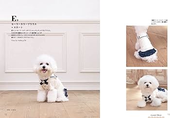 51QrA8-R5LL._AC_UF350,