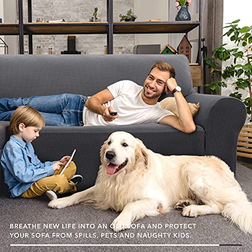 Znsayotx Super Stretch Couch Cover Love Seat Sofa Covers For Living Room Dogs Pet Friendly Furniture Protector Spandex Loveseat Slipcovers With Anti Slip Foam Sticks (Dark Grey, Loveseat) #TOP5