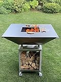 IDEAL der Grill - Hochwertiger Edelstahlgrill holzbefeuert mit Granitauflage und Grillrost by well2wellness