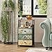 Tohomeor Dresser with Fabric Drawers Nightstand with 2 Tier Shelf Storage Tower for Bedroom Hallway Entryway Closet Organizer Sofa Beside Table Furniture (Multi, 3 Drawers)