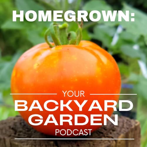 When to Harvest Vegetables from Your Garden