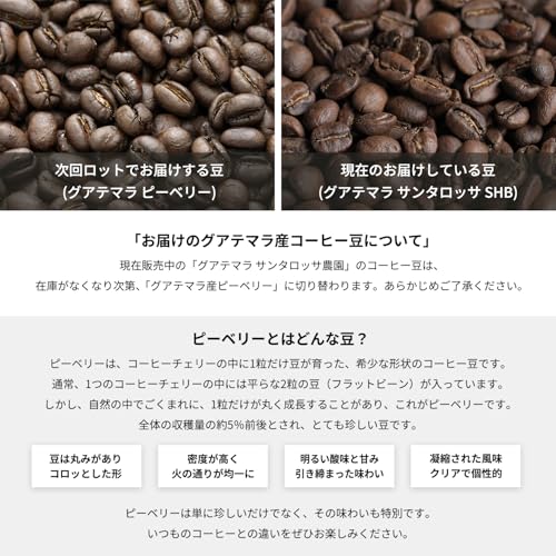 KOUNOU グアテマラ コーヒー豆 200g