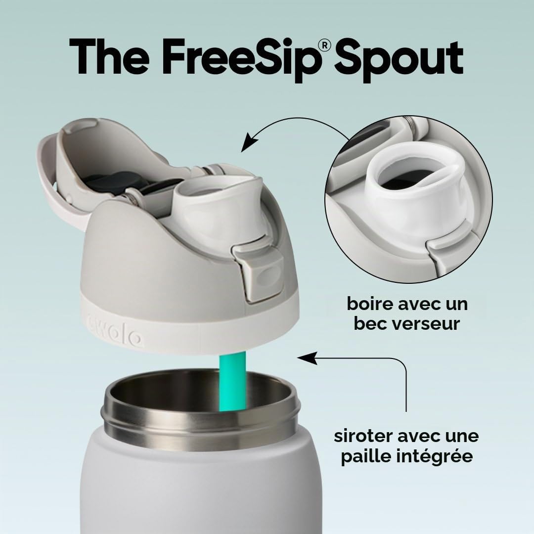 Owala FreeSip gourde isotherme en inox avec paille et couvercle, 945 ml - sans BPA, garde frais pendant 24 heures pour le sport et les voyages, Foggy Tide