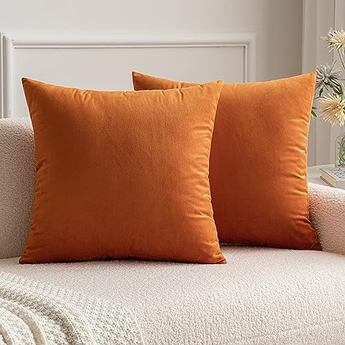 MIULEE Pack of 2 Velvet Soft Decorative Square Throw Pillow Case ...