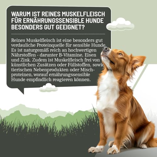 ReaVET Premium Hunde Nassfutter - Hirsch Pur 12 x 800g I Reines Muskelfleisch, Hypoallergen, ohne Getreide & Zusätze, Hundenassfutter sensitiv für Allergiker
