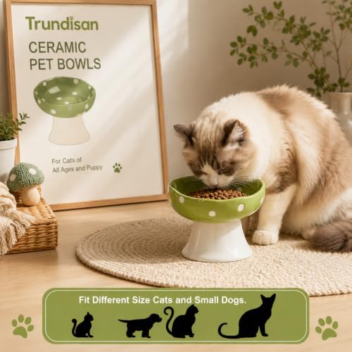 TRUNDISAN Mushroom Cat Bowl, Elevated Ceramic Cat Bowl, Avocado Green — view 5