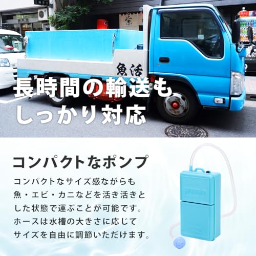 ノーブランド品 エアーポンプ の商品画像 3