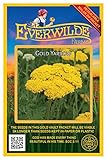 Everwilde Farms - 2000 Gold Yarrow Wildflower Seeds - Gold Vault Seed Packet
