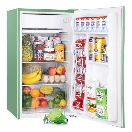 Flexible Mini Fridge with Freezer Space