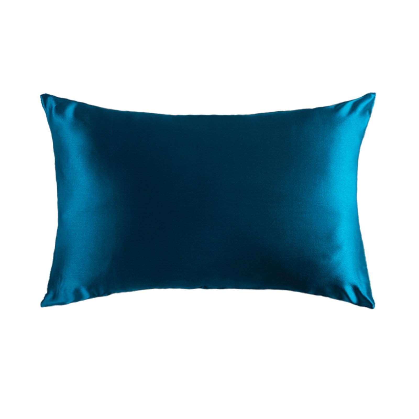 Silk pillowcase Silk Pillow Cover Double Pillowcase Pure With Hidden Zipper(Blue,51x76cm)