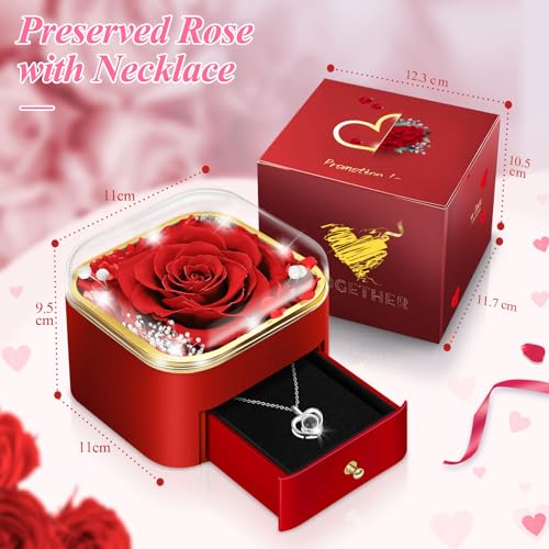 Miniatura 2 de Hnustbo Regalos Originales Para Mujer, Mamá, Novia, Flores Eterna, Rosa Real Preservada Con Collar, Regalos Ideales Para Ella En Cumpleaños, Aniversario, Día De San Valentín, Día De La Madre, Navidad