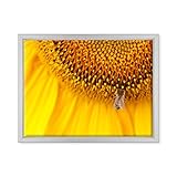 Chaque tableau est produit et emballé en Italie par Conkrea, une étiquette est apposée sur le cadre. La présence de notre marque en garantit l'authenticité et la qualité distinctive.