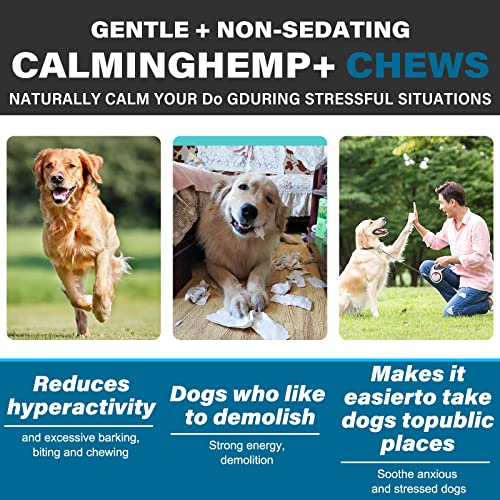 Calming Chew für Hunde(Lachsaroma 110 Stück),Beruhigende Chews für Haustiere,ti Stress Snack für Ihren Hund,fördern Entspannung, reduzieren Stress,mit natürlichen Inhaltsstoffen