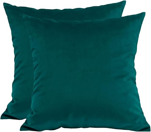 TangDepot Paquete de 2 fundas de almohada de terciopelo sólido, fundas de cojín, fundas de almohada suaves y súper lujosas, fundas de almohada
