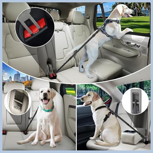 EXTFANS 3-in-1 Hunde Sicherheitsgurt für Auto – Einstellbarer Hundegurt Sicherheitsgeschirr mit Nachtsichtfunktion, 2156N Zugfestigkeit & Energieabsorption, Universalstecker & Verriegelungsbefestigung