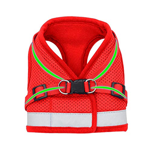 Qpets-Dog-Vest-Harness-for-Puppy-with-12m-Dog-Leash-Adjustable-Size-Dog-Vest-Harness-Breathable-Mesh-Fabric-with-Safety-Reflective-Strip-Dog-Harness-for-Dogs
