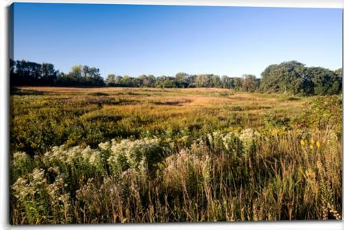 Late Summer at the Canvas Wall Art Decor Paintings Pictures