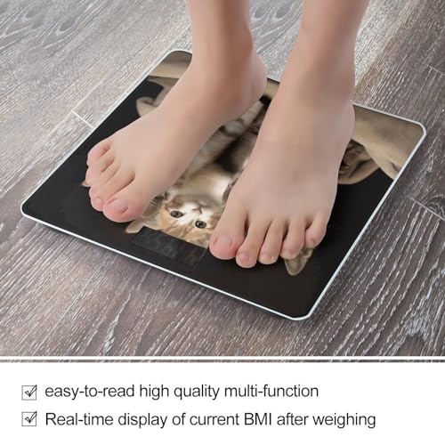Báscula Digital de Baño GHEPSDW Kittens Family Cats miniatura 5