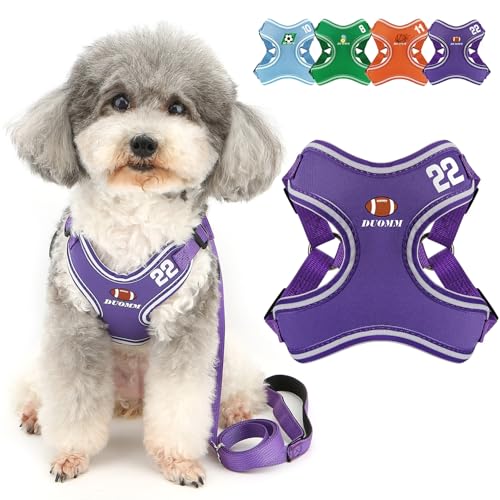 ZUNEA p n[lX [h Zbg ^ Ȃ  킢 n[lX xXg \ ʋC bV  S _炩  hbOEFA n[lX ȒPE ` q P Up p[v XS