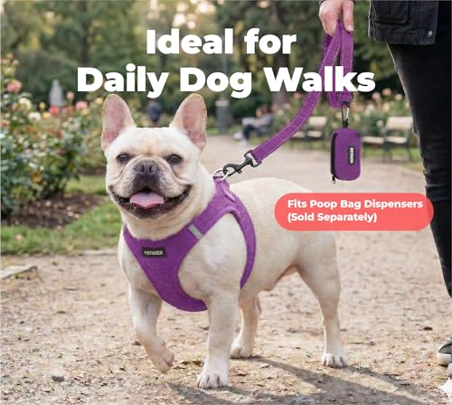 Image of Best Pet Supplies Voyager Reflective Dog Leash or Collar with Neoprene Handle, for Small, Medium, and Large Breed Puppies, Cute and Heavy Duty for Walking, Running and Training - Purple (Leash), L