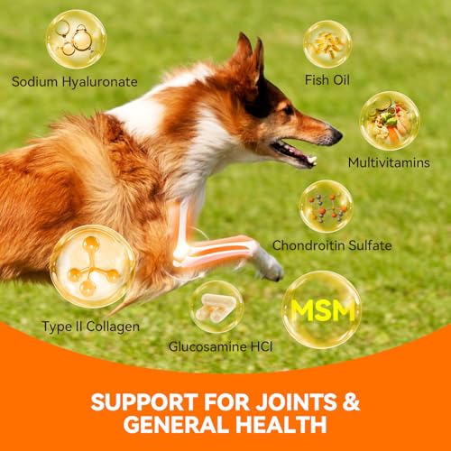 PUAINTA Advanced Collagen for Dogs & Cats Hip & Joint Supplement with Glucosamine, Chondroitin, MSM, Dog Joint Pain Relief, Multivitamin Treats for Small, Medium Large Dog Mobility-30 Soft Chews