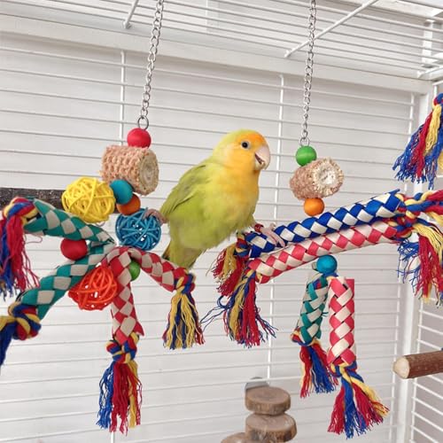 Accessoires de cage colorés pour stimuler l'activité des perroquets