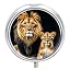 Mother Lion and Young Lion