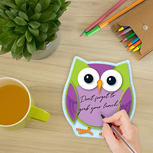 Colorful Owl Notepad