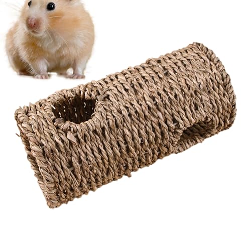 ^pgl | nX^[`[uƃgl | ݂ɂfނňSȎANeBreBpi ̉^ƎhɍœK