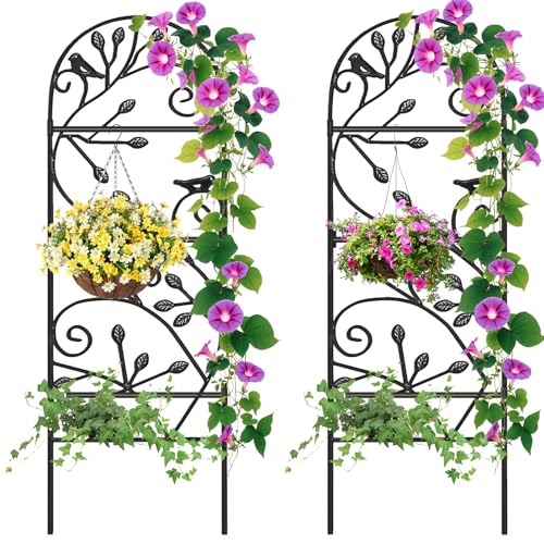 Amagabeli 46 'x 15' jardín de Hierro Forjado Decorativo celosía para Enredaderas Plantas Apoyo Metal jardín Enrejado Planta Enrejado Rose Trellis celosía para Plantas trepadoras