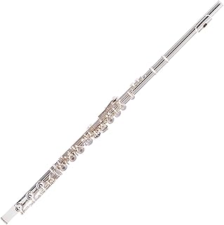 17-hole Curved Column Opening Points E Key White Copper Silver-plated French Button C-tune Flute Entry Beginners Grade Examination Performance flute instrument